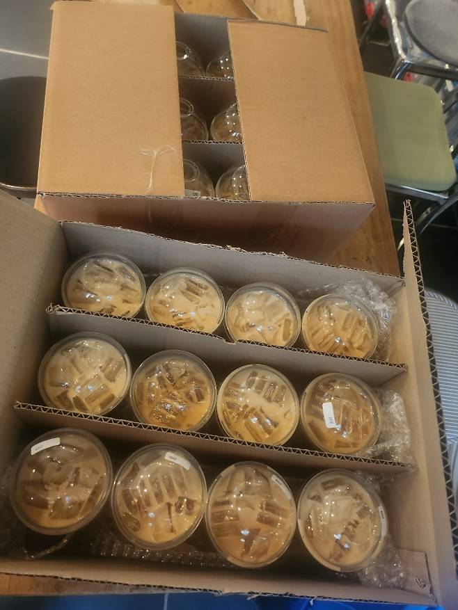 창의문 앞 C커피숍이 대량 주문을 받고 지난 28일 포장해 놓은 바닐라 라떼 아이스커피 .