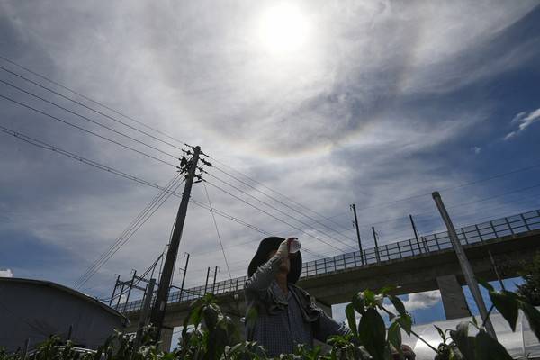 절기상 대서(大暑)인 22일 대전 대덕구의 한 농가에서 농민이 뜨거운 햇빛을 맞으며 고추를 수확하고 있다. 김주형 기자 kjh2667_@cctoday.co.kr