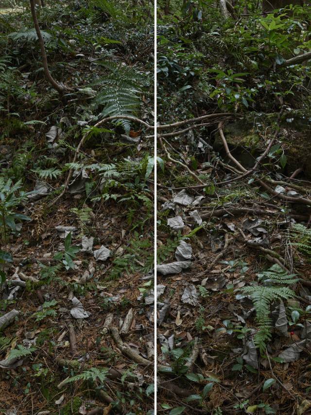 정희승의 '윌더'(Wilder) 중 '무제'(Untitled, a set of 2 panels). 고은 깁슨 사진미술관 제공