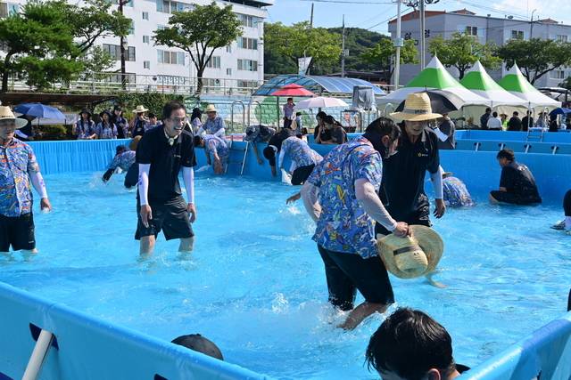 지난 30일 봉화읍 내성천 일원에서 펼쳐진 '은어 챔피언십: 연대의 전쟁' 기관 대항 맨손잡이 대회에서 봉화군청 팀과 봉화군의회 팀이 은어를 잡으며 기관 간 대결을 펼치고 있다. 봉화군 제공