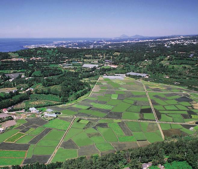하논. 환경부 '우리나라 생태관광 이야기' 누리집 갈무리