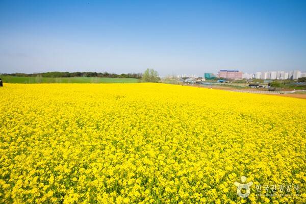 안성팜랜드&nbsp;(ⓒ한국관광공사 대한민국 구석구석)