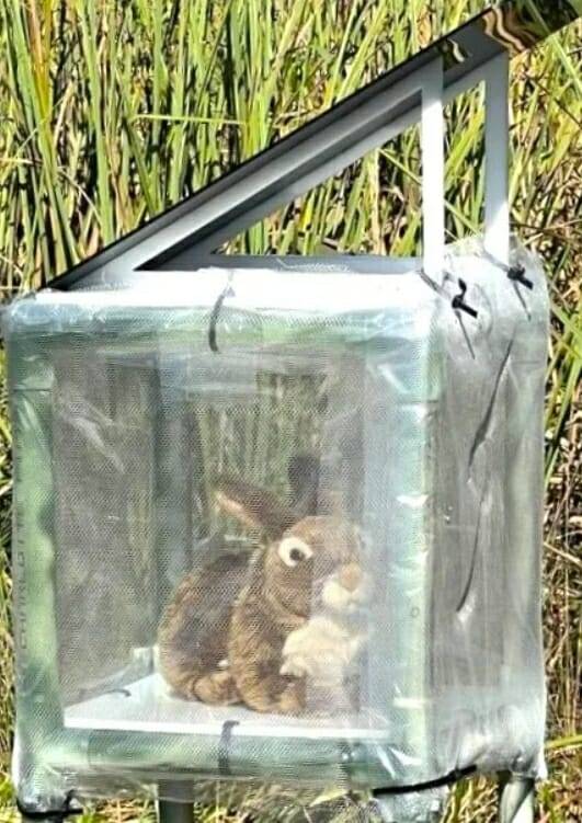 사진=플로리다대학 로보트 맥클리