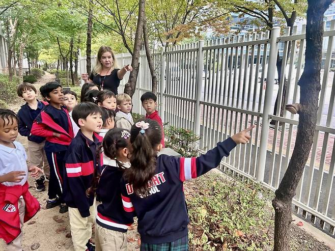 ECD students are exploring nature on the school grounds./Dwight School Seoul