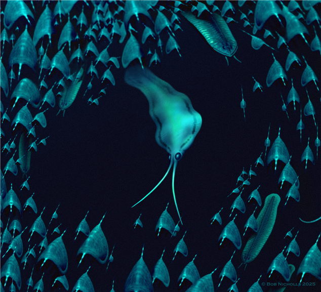 넥토카리디드인 '넥토그나투스 에바스미싸이' 상상도. 극지연구소 제공