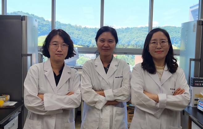 왼쪽부터 반효정, 진희정, 김수연 한국한의학연구원 박사. 한국한의학연구원 제공.