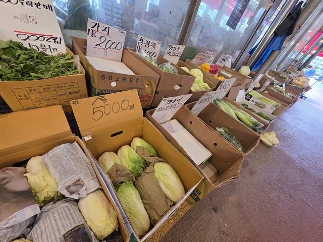 30일 서울 서대문구 영천시장의 한 채소가게에 배추 등 채소가 진열돼 있다. 사진= 김수연기자 newsnews@