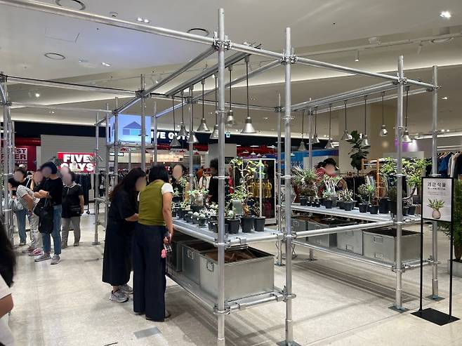 31일 서울 용산 아이파크몰 3층 '도파민스테이션' 내 '괴근식물 팝업'에서 방문객들이 식물을 구경하고 있다. 사진=김현지 기자
