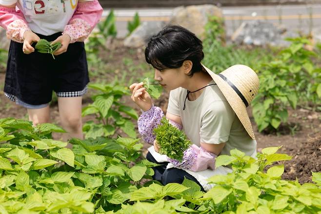 농촌 활동. (제주관광공사 제공)