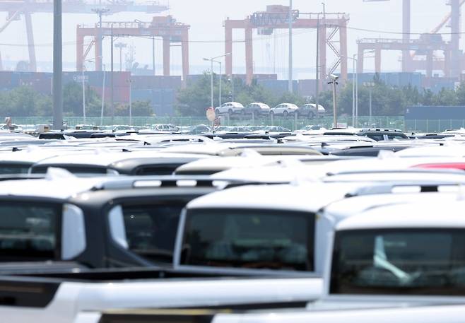 경기 평택시 포승읍 평택항에 수출용 차량이 세워져 있다./사진=뉴스1