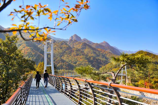 설악향기로 전경. 속초시청 제공