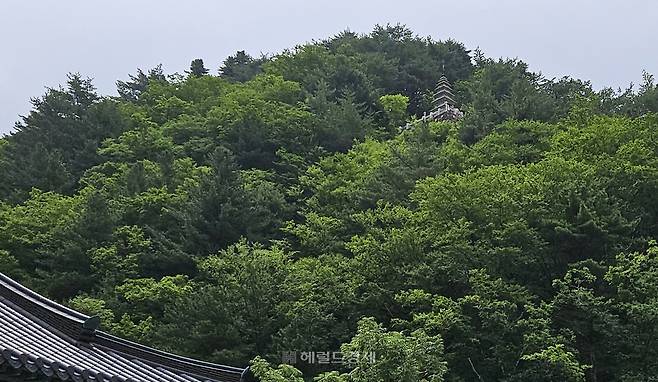 정암사 경내에서 올려다본 수마노탑