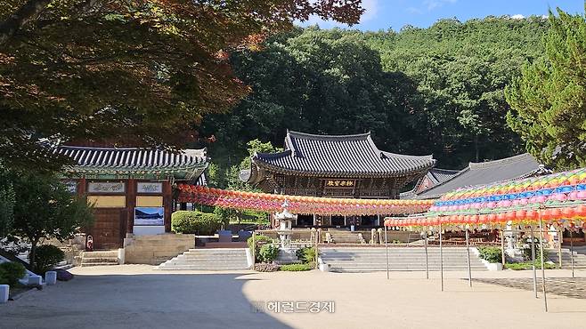 은해사 극락보전 앞마당