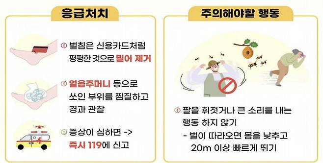 벌쏘임 안전 수칙