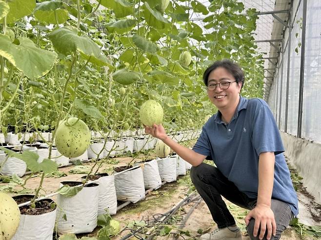 지난 7일 스마트팜 기업 아페스의 김진성 대표가 베트남 하노이 타인찌에 지은 시범 온실에서 재배한 멜론을 소개하고 있다.