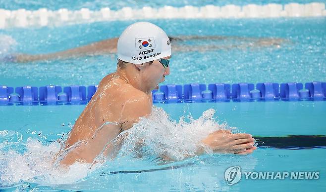 힘차게 물살 가르는 조성재 [연합뉴스 자료사진]