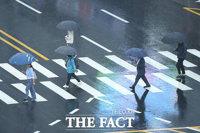 비가 내려 우산을 쓰고 횡단보도를 건너는 사람들의 모습. /장윤석 기자