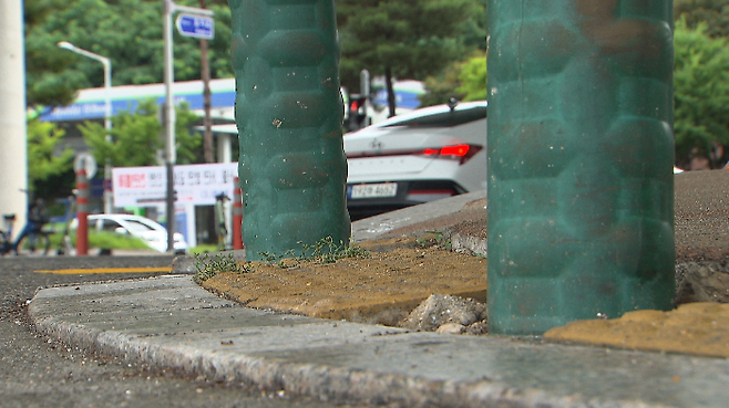시각장애인용 점자블록을 뜯어내고 볼라드를 설치한 횡단보도 앞.