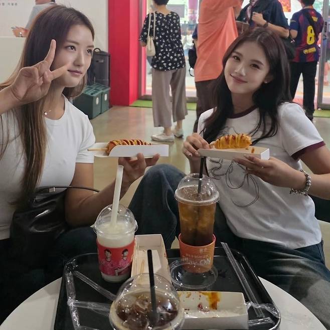 이수진 소셜네트워크서비스 계정