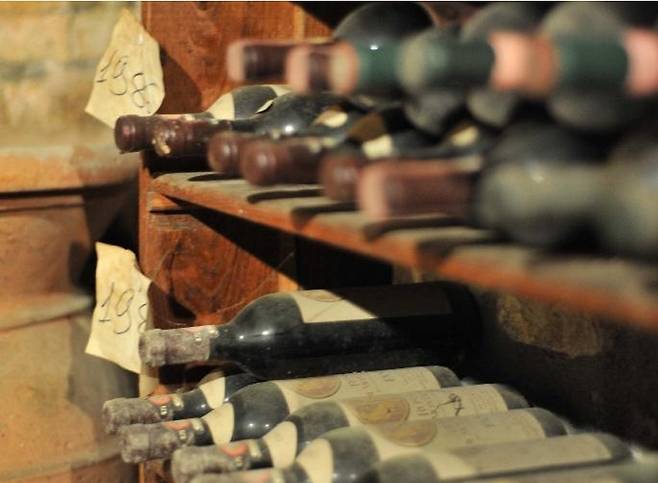 판티 셀러 1980 빈티지 와인. 홈페이지