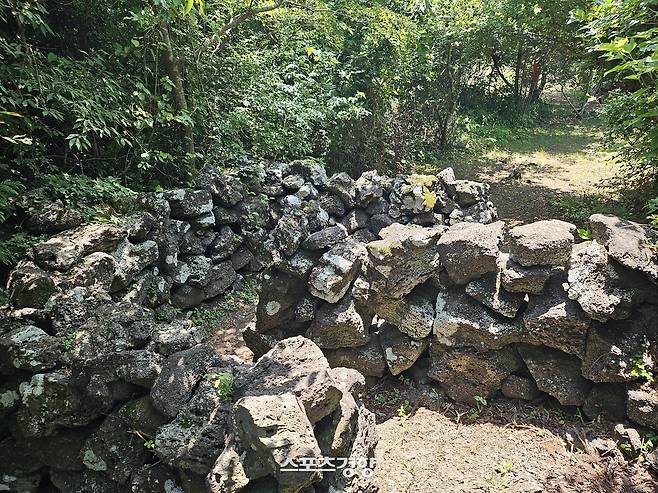 큰넓궤 가는 숲길. 사진|강석봉 기자