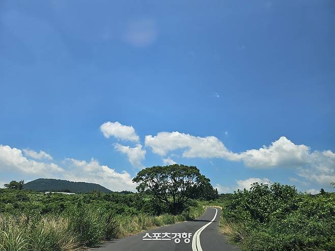 큰넓게와 연결된 안덕면의 한적한 도로. 사진|강석봉 기자