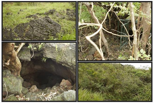 큰넓궤. 사진제공|디지털서귀포문화대전