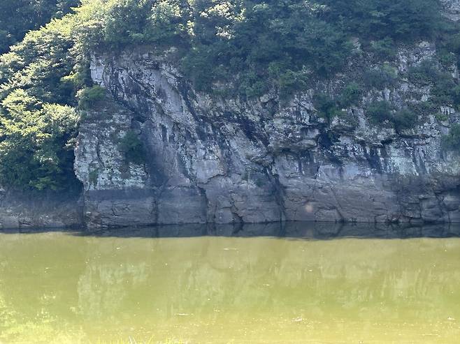 여전히 물에 잠겨 있는 반구대 암각화      (울산=연합뉴스) 김예나 기자 = 1일 울산 울주군 언양읍 대곡리의 국보 '울주 대곡리 반구대 암각화'가 물에 잠겨 보이지 않는 모습. 지난달 울산을 비롯해 전국 곳곳에 집중 호우가 내려 사연댐 수위가 상승하면서 암각화도 물에 잠겼다. 2025.8.1
    yes@yna.co.kr