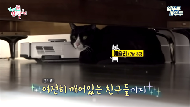 7세 추정 둘째 애슐리 엠뚜루마뚜루 유튜브 캡처