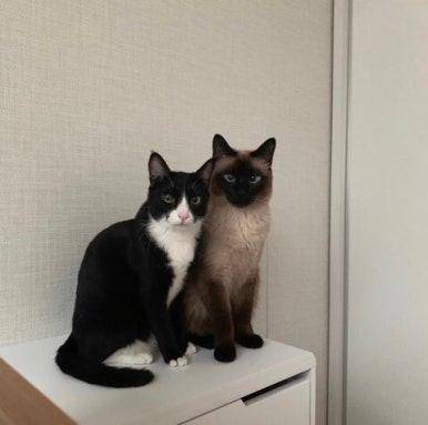 리오와 애슐리의 모습. 연우 인스타그램 캡처