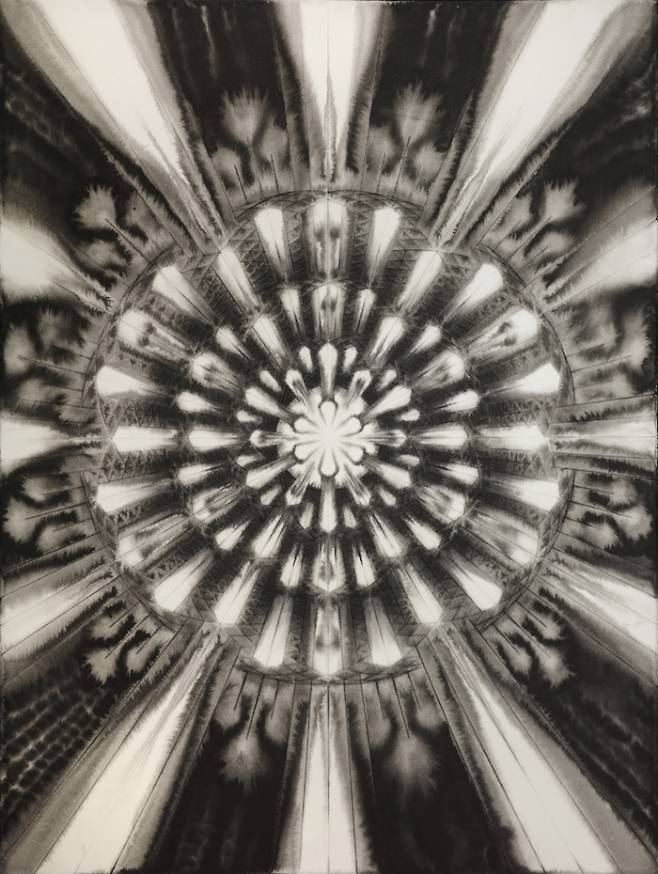 남궁환, '003)Entoptima', 종이 위에 먹, 76x56cm(2019). 아트파크 제공