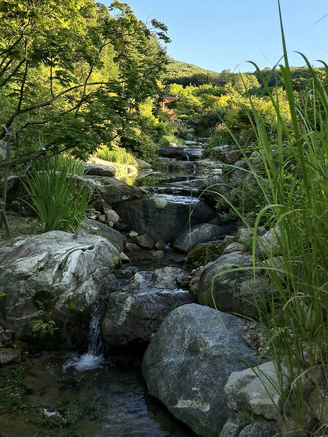 메덩골 정원 계곡.