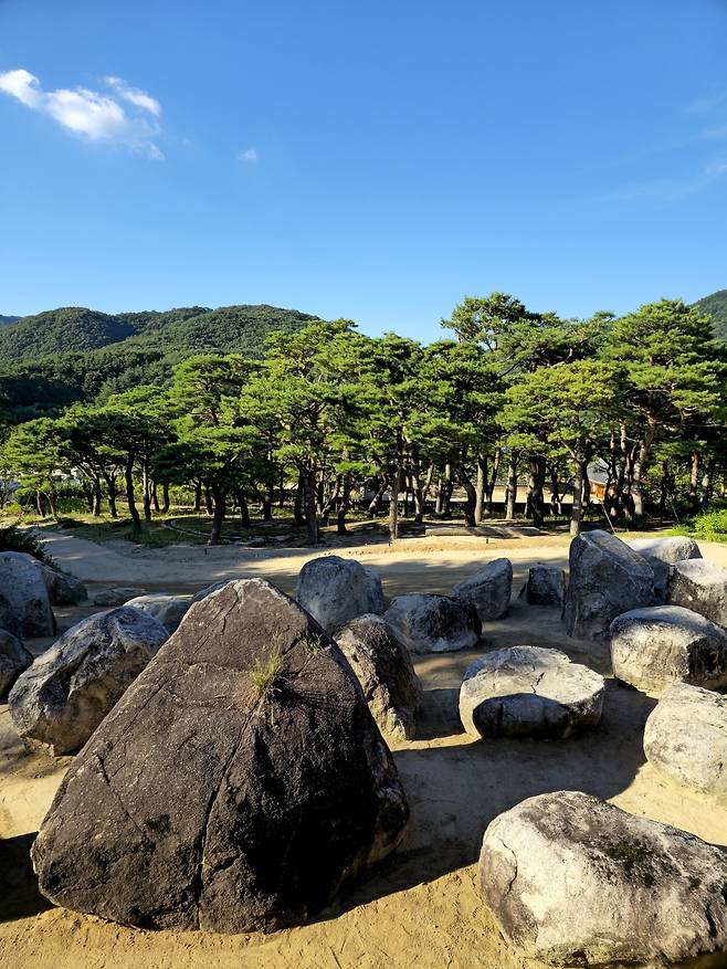 유생 돌정원.