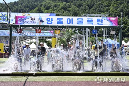 ◇오는 10일까지 평창 대화면 땀띠공원 일원에서 계속되는 2025년 Fantastic SUMMER 평창더위사냥축제’에 방문객들의 발길이 이어지고 있다.