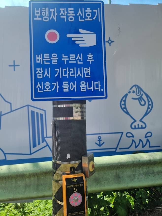 보행자 신호 작동기. /전영숙 시조시인 제공