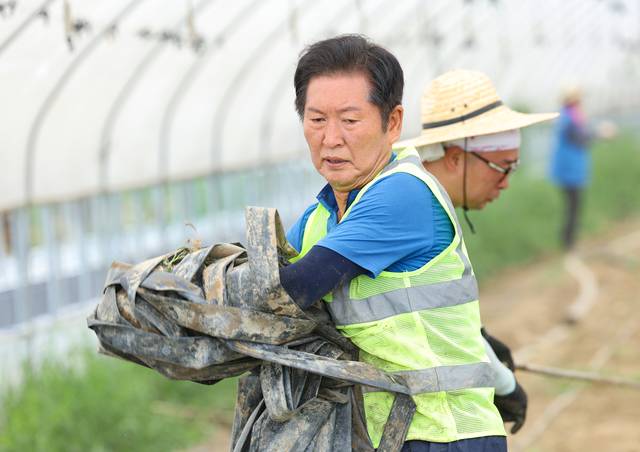 정청래 신임 더불어민주당 대표가 3일 오전 전남 나주시 노안면 오이농가를 찾아 수해 복구 작업을 하고 있다.  연합뉴스