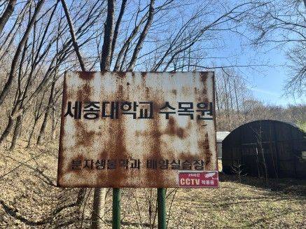 세종대학교가 경기 성남 도촌동 및  하대원동 일대에 보유하고 있는 교육용 부지가 사실상 방치돼있는 모습. 정을호 의원실 제공