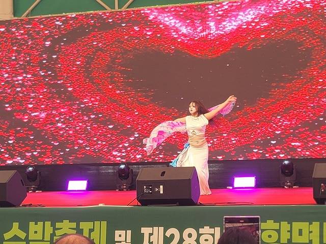 경기도 파주시 아드리아밸리문화예술협회 김선아 단장의 밸리 댄스 공연 모습 / 사진=국승호 기자