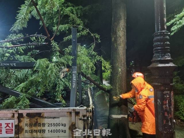 남원에서 트럭위에 쓰러진 나무를 정리하고 있다. 전북소방본부