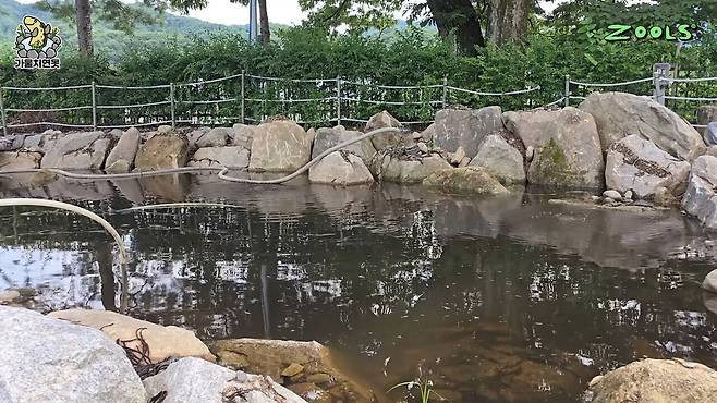 - 은별 연못의 모습&nbsp;[출처: 김줄스 유튜브]