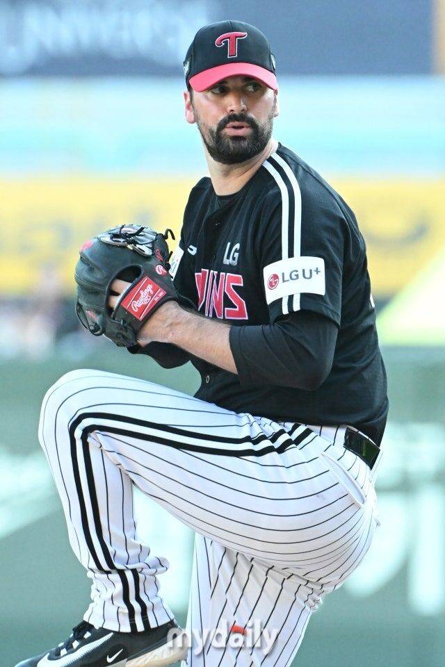 플럿코/마이데일리