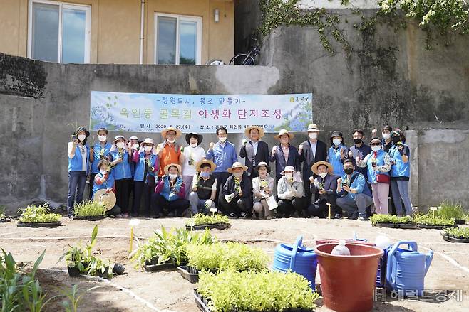 서울 종로구 옥인동 노후 빈 집을 철거하고, 야생화 단지를 조성한 모습. [종로구]