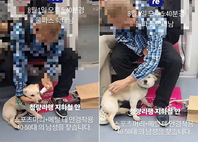 지난 1일 오후 5시40분쯤 청량리행 지하철 열차 안에서 한 남성이 반려견의 몸에 물파스를 덕지덕지 바르는 모습이 포착돼 논란이 일고 있다. [케어 인스타그램 캡처]