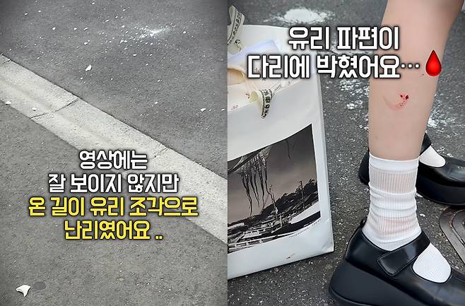 [유튜브 채널 '태리태리' 캡처]