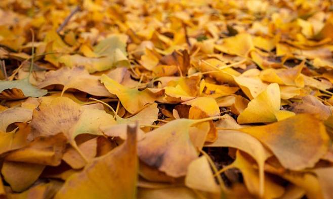 사진=게티이미지뱅크