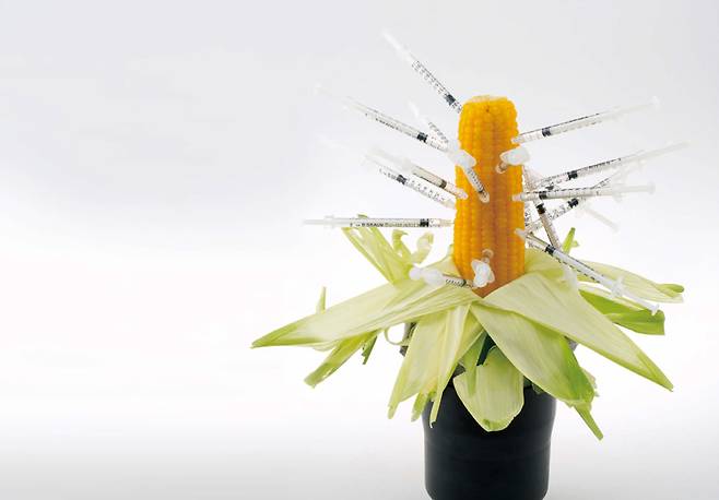 ⓒ시사저널 임준선