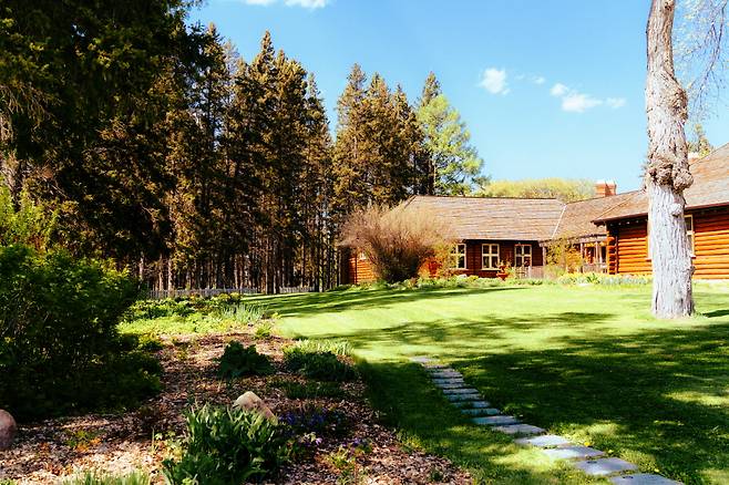 호수 근처에서는 키 큰 나무들을 쉽게 볼 수 있다