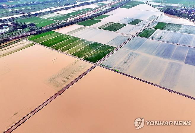 흙탕물에 잠긴 함평 농경지 (함평=연합뉴스) 정다움 기자 = 4일 오전 전남 함평군 엄다면 일대 농경지가 빗물에 잠겨 있다. 함평에는 호우 특보가 발효된 전날 하루에만 170여㎜의 비가 내렸다. 2025.8.4 daum@yna.co.kr