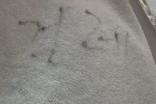 여수의 한 숙박업소가 투숙객에게 수건 대신 지급한 걸레. 인터넷커뮤니티 캡처