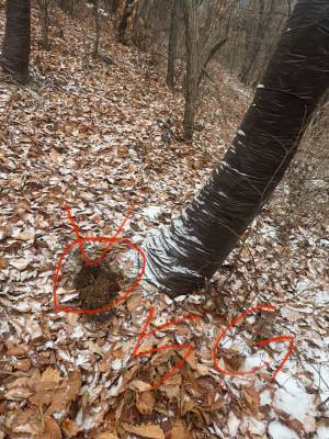 광주본부 세관에 검거된 마약 유통 밀수범들이 던지기 수법을 한 은닉 장소. /광주본부 세관 제공